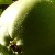 Äpfel in Schweden