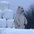befremdliche Eisb&auml;r-Deko, Ludwigsburg