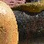 Wurst in Weimar